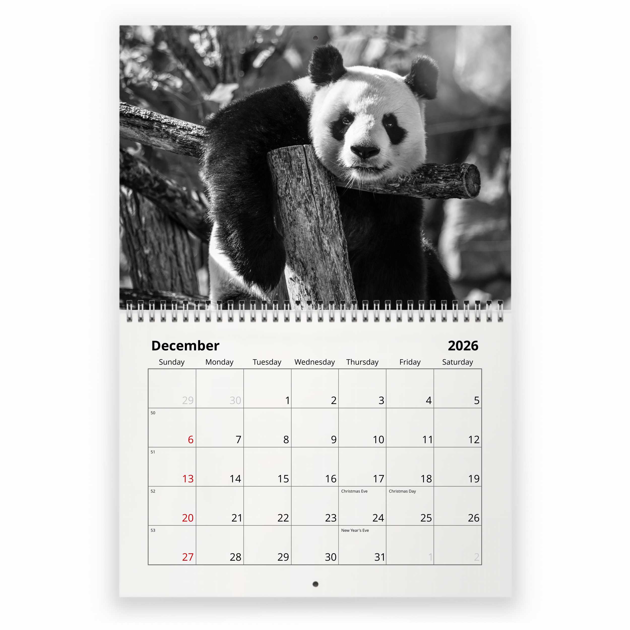 2026年 パンダ壁掛けカレンダー 2026 Calendar ジャンボ シャンシャン スケジュール 壁掛けカレンダー