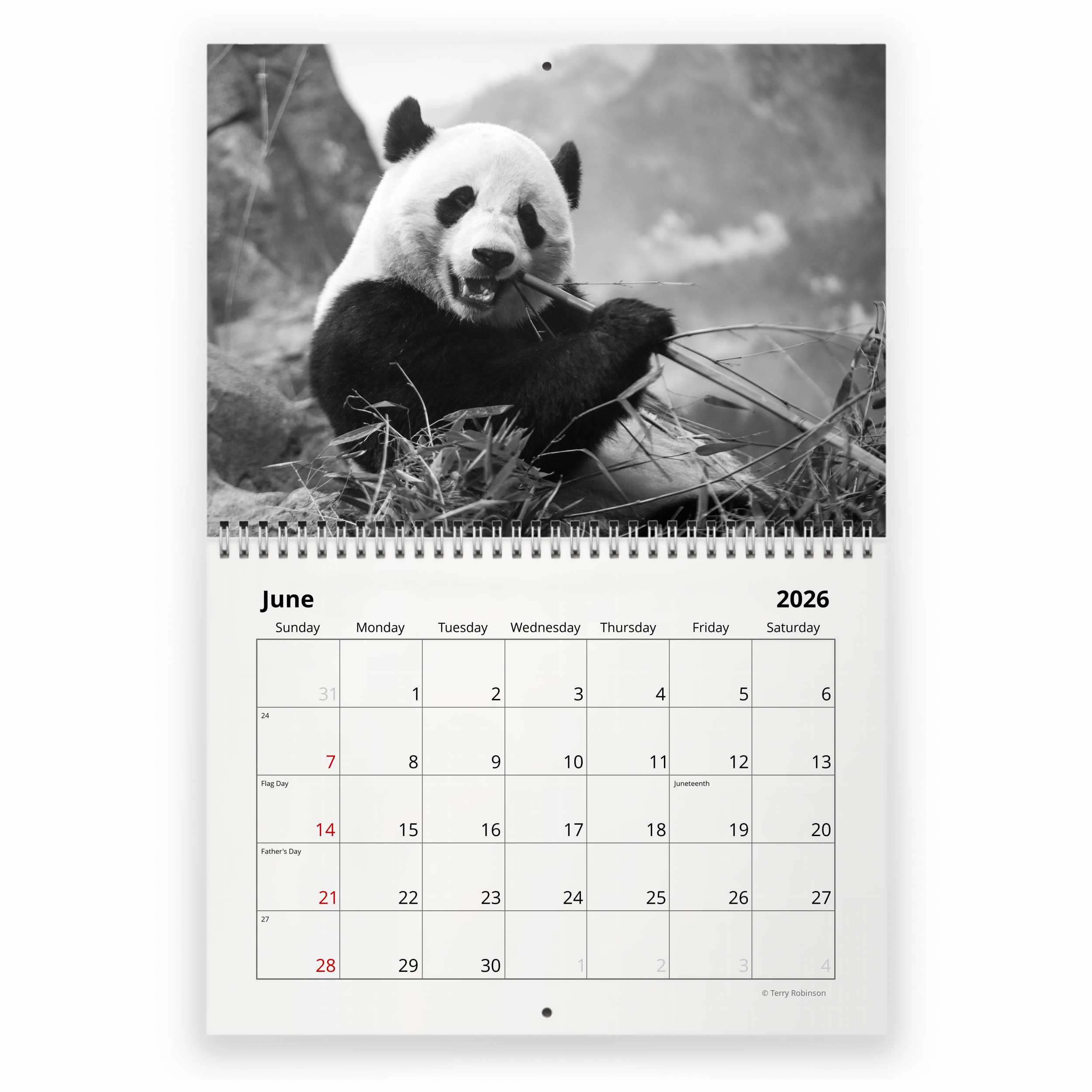 2026年 パンダ壁掛けカレンダー 2026Calendar 壁掛けカレンダー2026年 パンダ シャンシャン パンダ川柳