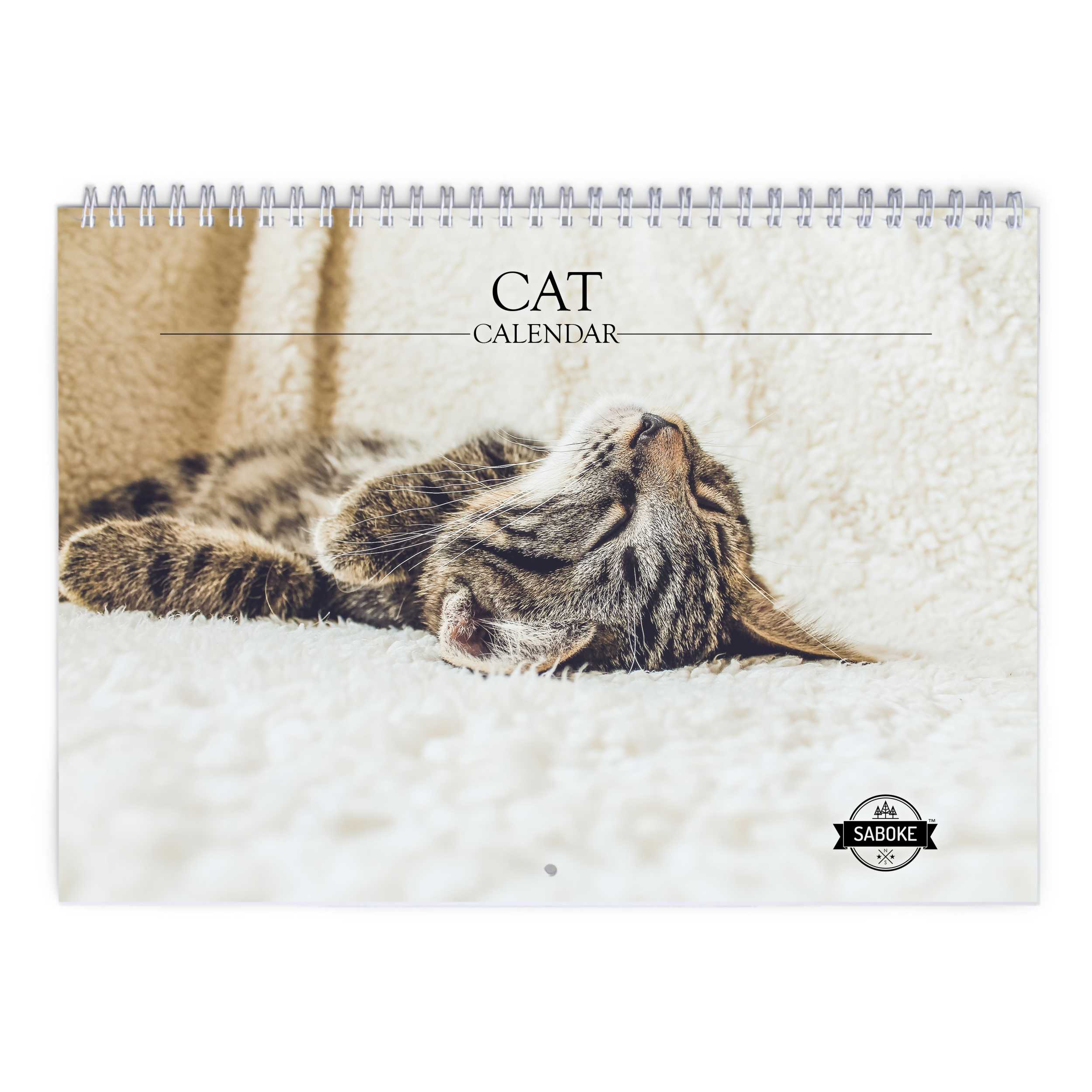 Cat 2026 Wall Calendar
