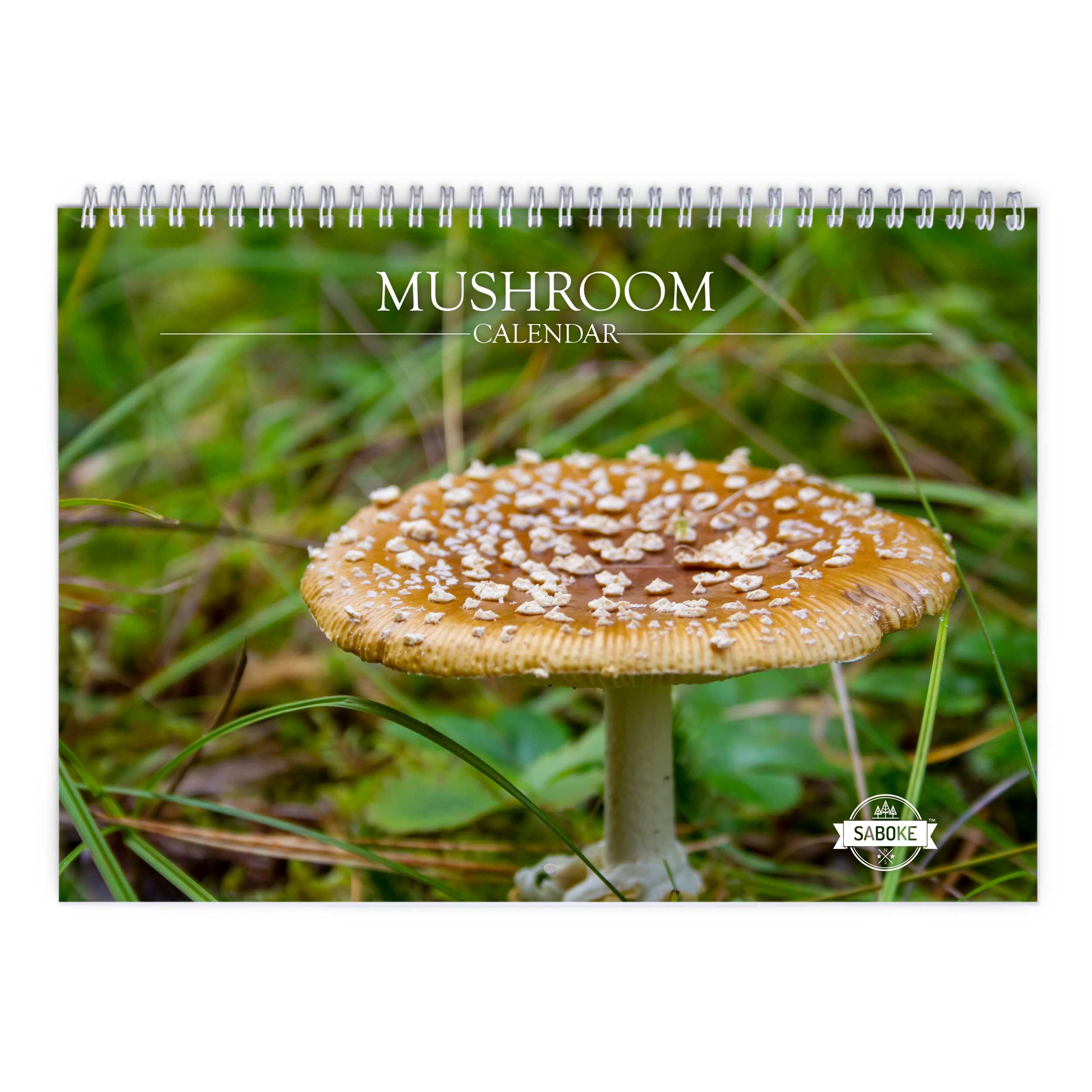 Mushroom 2026 Wall Calendar