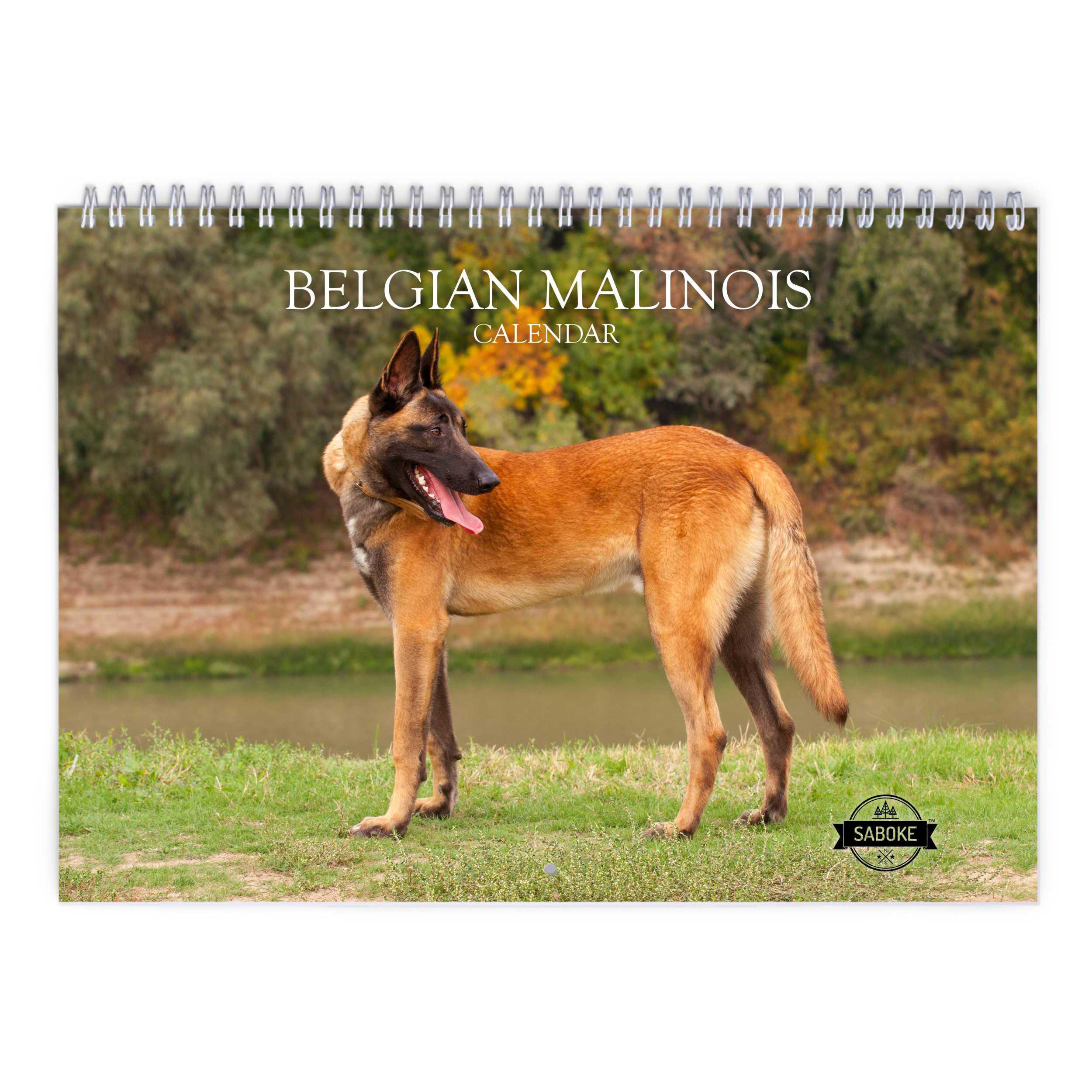 Belgian Malinois 2026 Wall Calendar