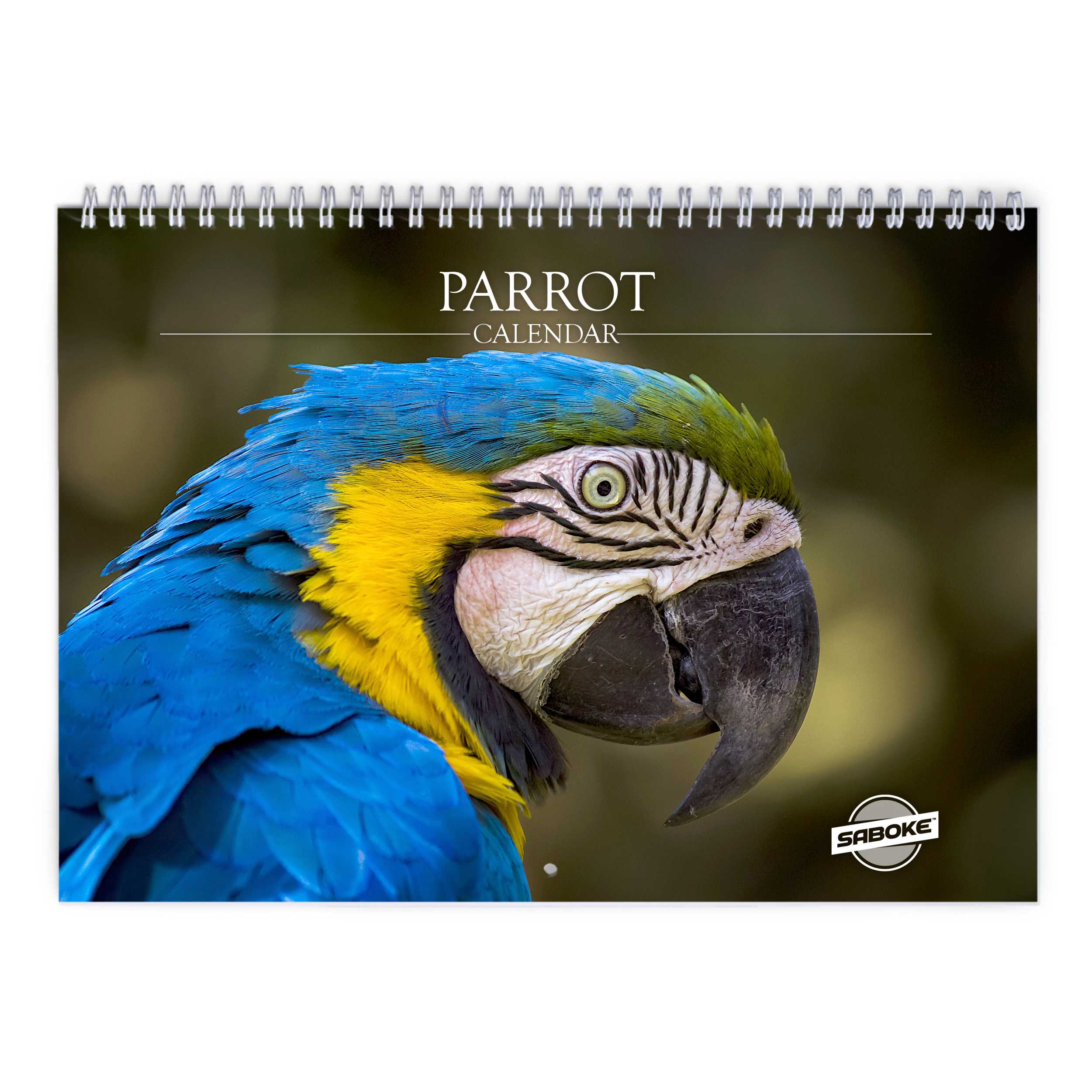 African Greys - Graupapageien 2023 - 16-Monatskalender: Original Avonside-Kalender [Mehrsprachig] [Kalender] : Avonside Publishing Ltd